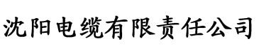 留守村长的艳福电缆厂logo